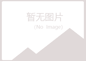 青海夏岚保险有限公司